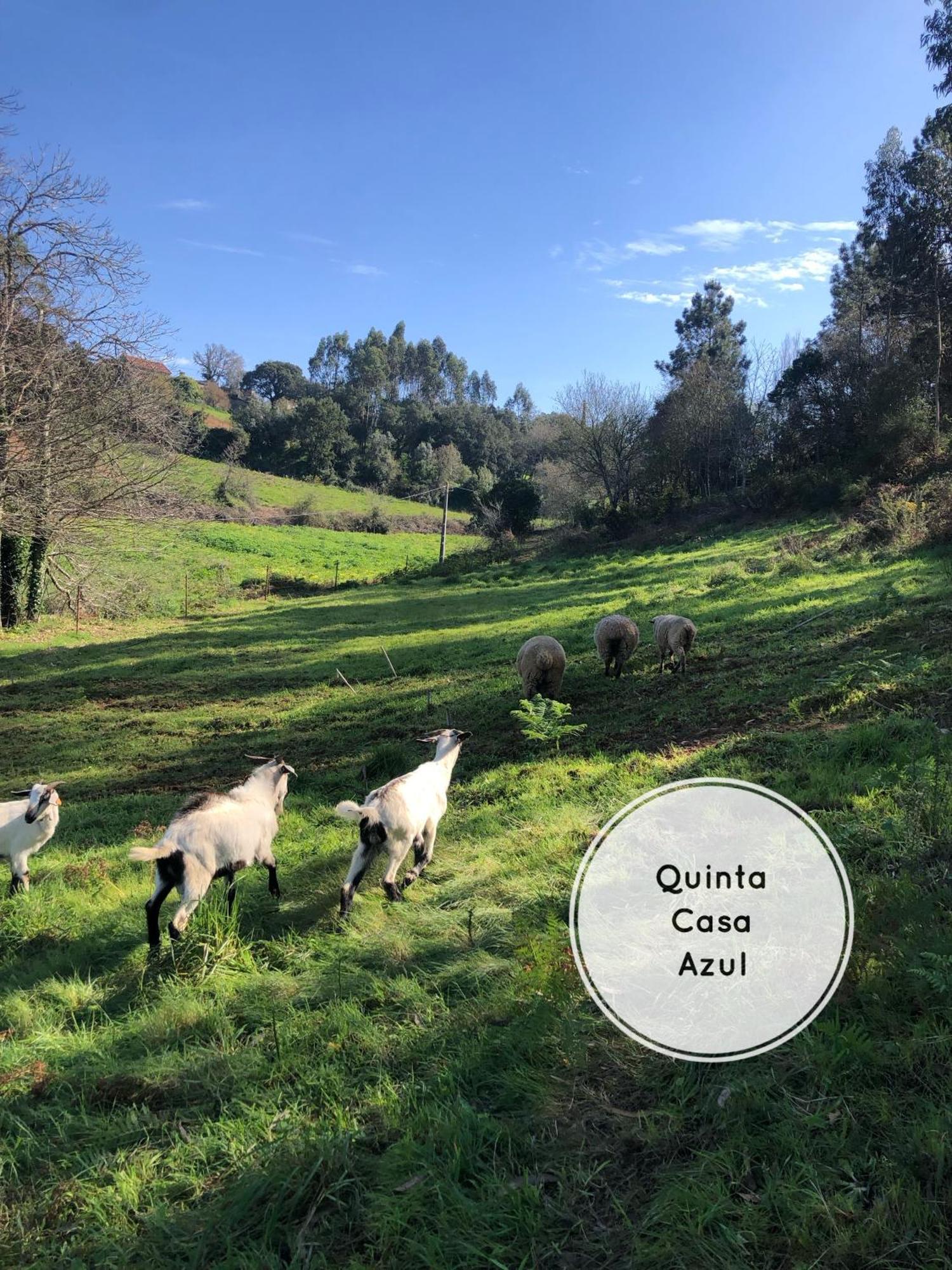 Quinta Da Casa Azul Villa Óbidos Екстериор снимка